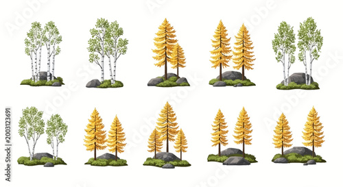Ten isolated illustrations of small groups of deciduous birch and larch trees growing from rocky patches of grass