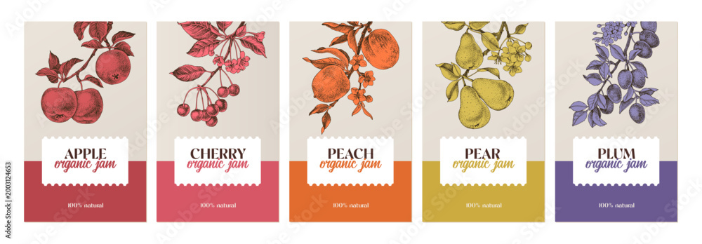 Naklejka premium Fruit jam vector labels set