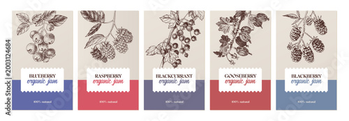 Berry jam label templates collection