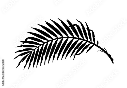 Aesthetic single palm leaf element