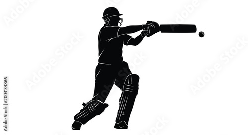 cricket player silhouette swinging bat against white background high quality professional