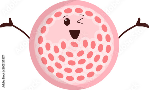 Obraz na plátně Blastocyst Cute Human Embryonic Development Illustration, Early Embryo Structure