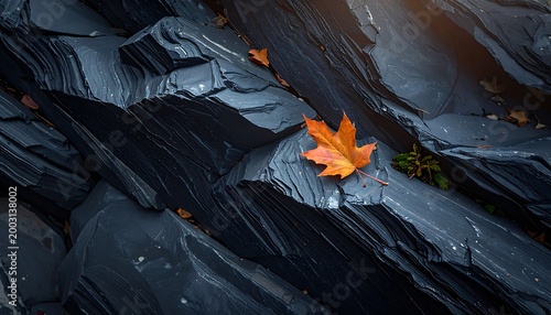 Slate layers, leaf