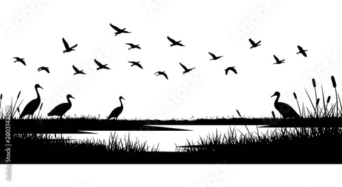 Silhouette of birds in flight over wetland landscape peaceful nature scene