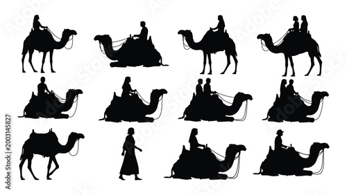 camel silhouettes with riders in various poses black and white vector illustration on white background high quality professional detailed modern elegant