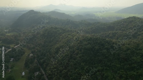 A cinematic drone shot of rolling green hills and dense tropical forests in Assamduring a hazy morning, showcasing authentic natural beauty.
