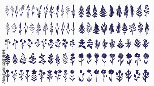 Botanical silhouettes set, wild herbs, flowers, and grass vector illustrations