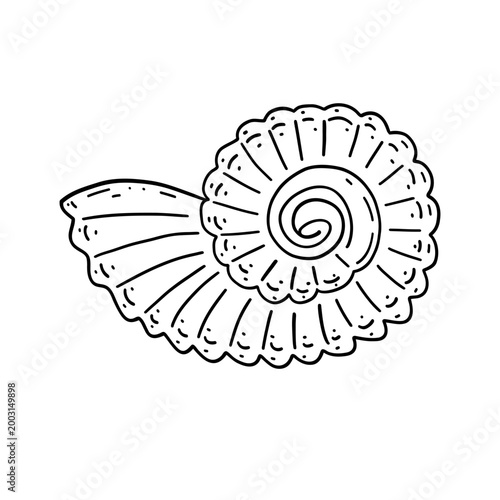 Seashell outline, line art drawing, hand drawn vector illustration, Seashell icon. Marine life. Vector illustration isolated on a white background for design and web.