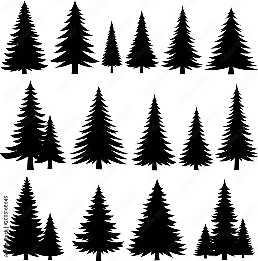 Fototapeta premium Set of black conifer tree silhouettes including pine and fir trees in various heights and shapes with silhouette evergreen christmas landscape environment collection vegetation