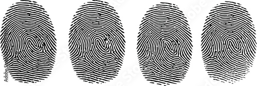 Four distinct fingerprint patterns rendered in a detailed engraving style on a clean white background