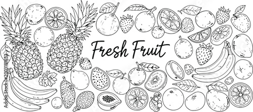 Fresh Fruit Assortment Hand Drawn Outline Border with Tropical and Citrus Variety