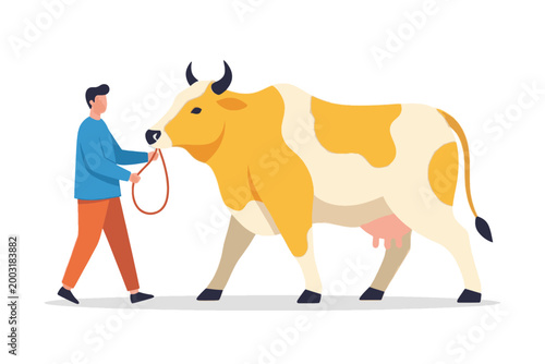 A man leads a dairy cow with a rope in a flat vector illustration.