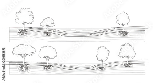 Architectural Drawings, Minimal style cad tree line drawing, Side view, set of section wetland forest outline for landscape