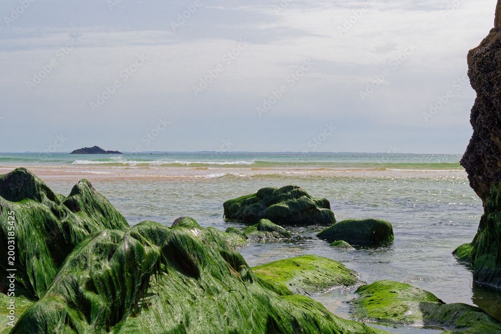 Fototapeta premium Explorez la côte sauvage de Quiberon : 8 km de falaises déchiquetées, de criques secrètes et de vagues fracassantes. Un spectacle naturel grandiose et préservé, sculpté par les vents et l'océan.