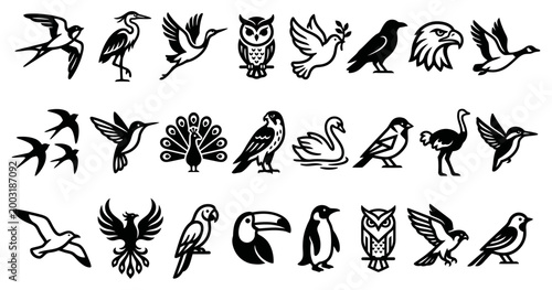 A comprehensive silhouette collection showcasing diverse bird species, perfect for nature-themed graphic design and ornithology concepts