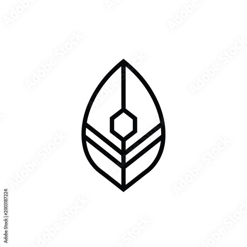 Stylized leaf with hexagon and lines on a white background