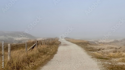 Coastal landscape, misty scenery of an empty pathway surrounded by the dunes outdoor at daytime during springtime season along the coast in Noordwijk in The Netherlands with space for text.