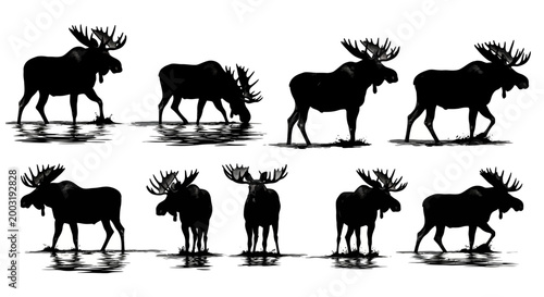 Moose Silhouettes Walking in Rows Against Uniform Environment with Artistic Viewpoint