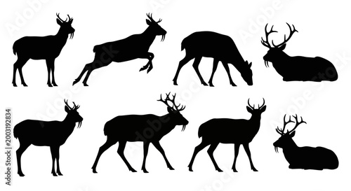 Deer in various actions and poses in a natural environment from a frontal viewpoint in an illustration