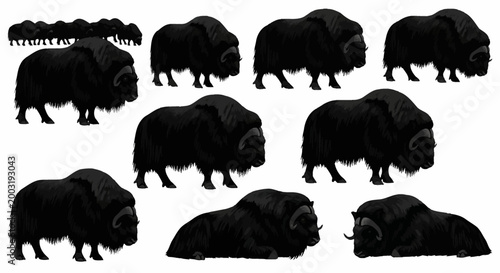 Several black animals are walking on a field in a natural landscape.