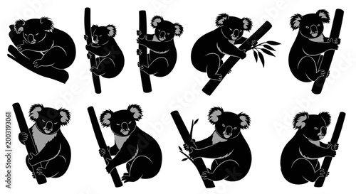 Eight black koalas sitting on tree branches in various poses on white background image-083.ai