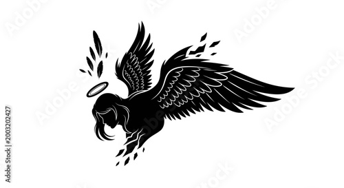 Photos Black and white eagle flying free.