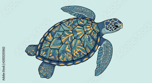 Bild auf Leinwand A turtle with a patterned shell