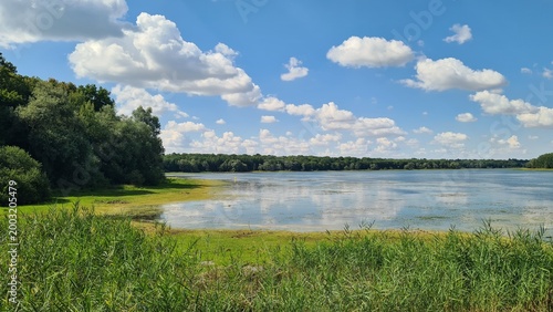 Le lac du Temple vu depuis le site de la Fontaine aux Oiseaux une belle journée d'été (Champagne)