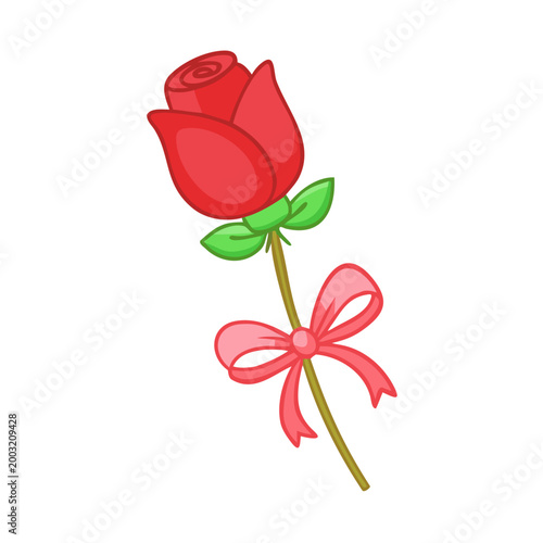 Single red rose tied with ribbon in a cute style
