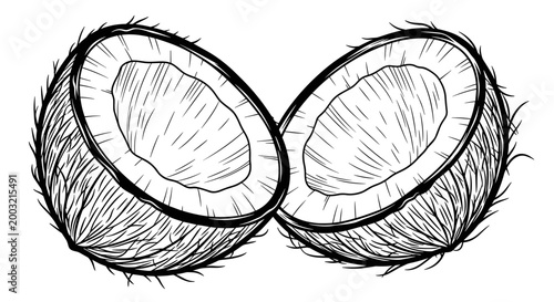 Detailed and unique engraving style illustration of two halved coconuts, artistically arranged to form a captivating figure-eight pattern.