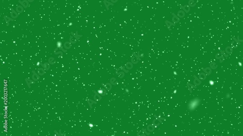 Realistic Snow Fall Animation with Soft Snowflakes on Green Screen Background