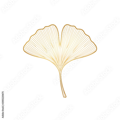 Single ginkgo leaf with delicate flowing golden metallic lines against a solid white background, centered symmetrical composition with refined elegant atmosphere