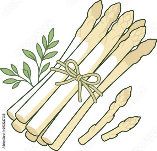 Illustration of a tied bundle of asparagus stalks, representing fresh vegetables in a simple and clean vector style.