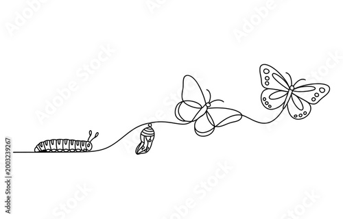 Fotografie Continuous line drawing of butterfly life cycle