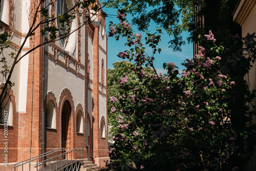 Side view of Subotica Synagogue with blooming lilac in Subotica, Serbia. Historic Art Nouveau architecture framed by spring flowers and greenery.