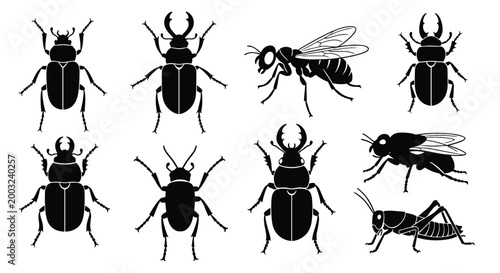 Eight black silhouettes of various insects including beetles, a wasp, and a fly are displayed on a white background for nature design elements.