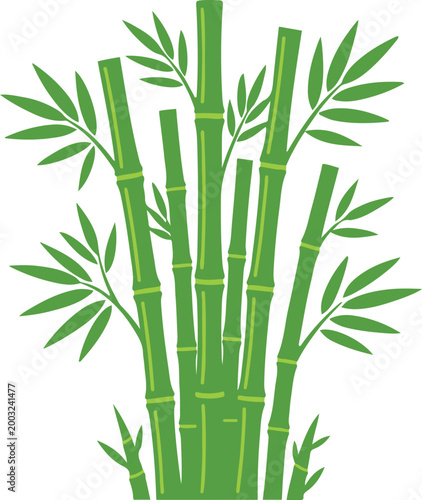 Cluster of green bamboo stalks with leafy branches, illustrated in a clean vector style representing natural growth and tropical vegetation.
