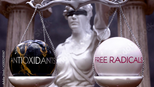 Schilderij op canvas Antioxidants or Free Radicals as a choice, two options to choose from