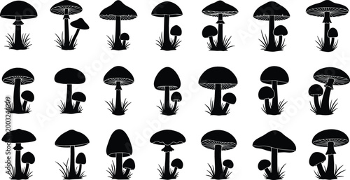 Set of 20 Black and White Mushroom Illustrations Featuring Various Species and Grass for Nature and Forest Designs