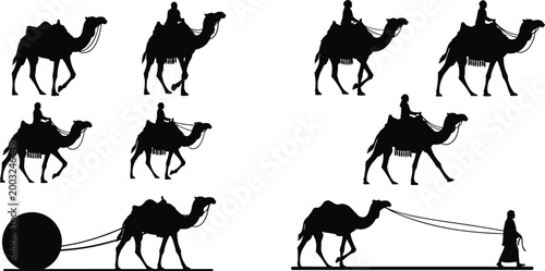 Silhouette of Camel with Rider and Various Camel Poses, Vector Art Illustration