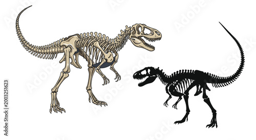 Detailed skeletal remains of a predatory theropod dinosaur shown as a realistic bone structure and a black silhouette on white.