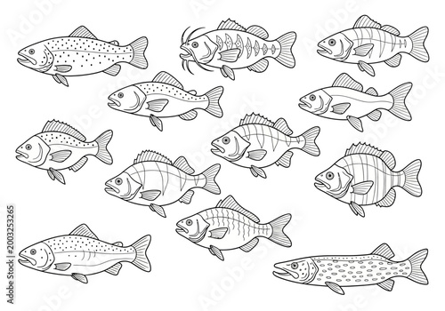 A school of fish swim together in the ocean water illustration
