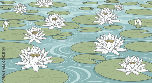 Beautiful pond scene with several blooming white water lilies and green lily pads floating on the calm surface of the water.