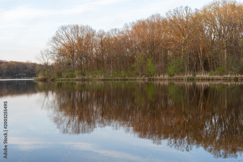 Obraz premium Calm lake with tree reflections and spring forest at sunset light