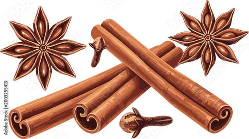 Cinnamon Sticks and Star Anise Spice Set for Culinary and Flavor Illustrations