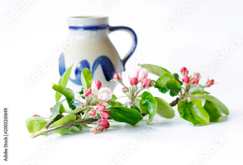 Apfelblüten