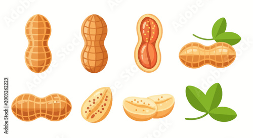 Foto Cartoon peanut collection on white