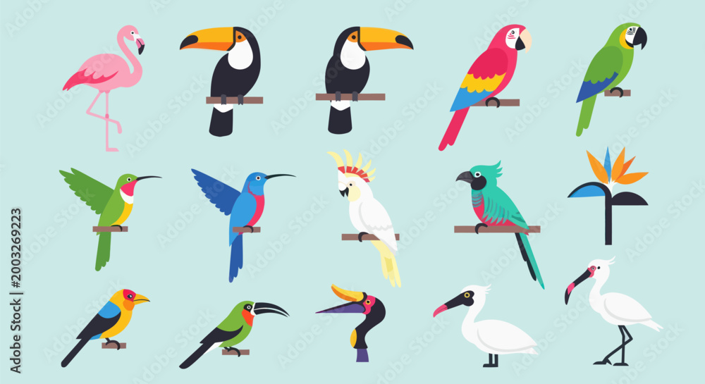 Fototapeta premium Colorful bird collection vector illustration