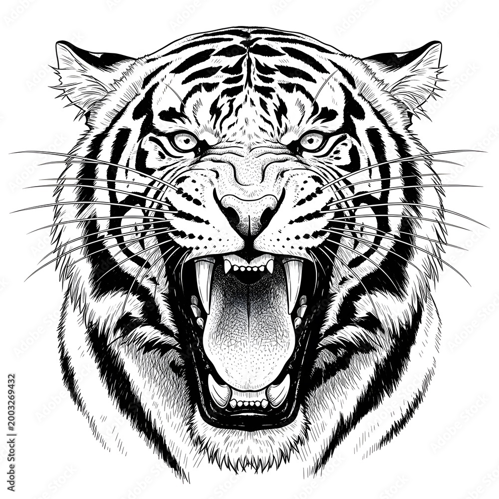 Fototapeta premium A black and white illustration of a tigers head with its mouth open, isolated on white background