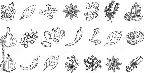 Herb and Spice Set Featuring Garlic, Ginger, Star Anise, and More in Black and White Line Art for Culinary Illustrations